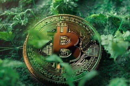 Bitcoin green Coinspector