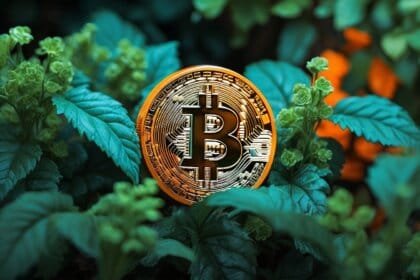 Bitcoin cena korekta