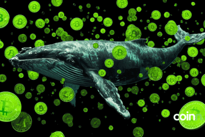 Wieloryby VTC sterują rynkiem Glassnode