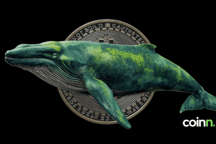 wieloryby BTC zakupy instytucjonalne