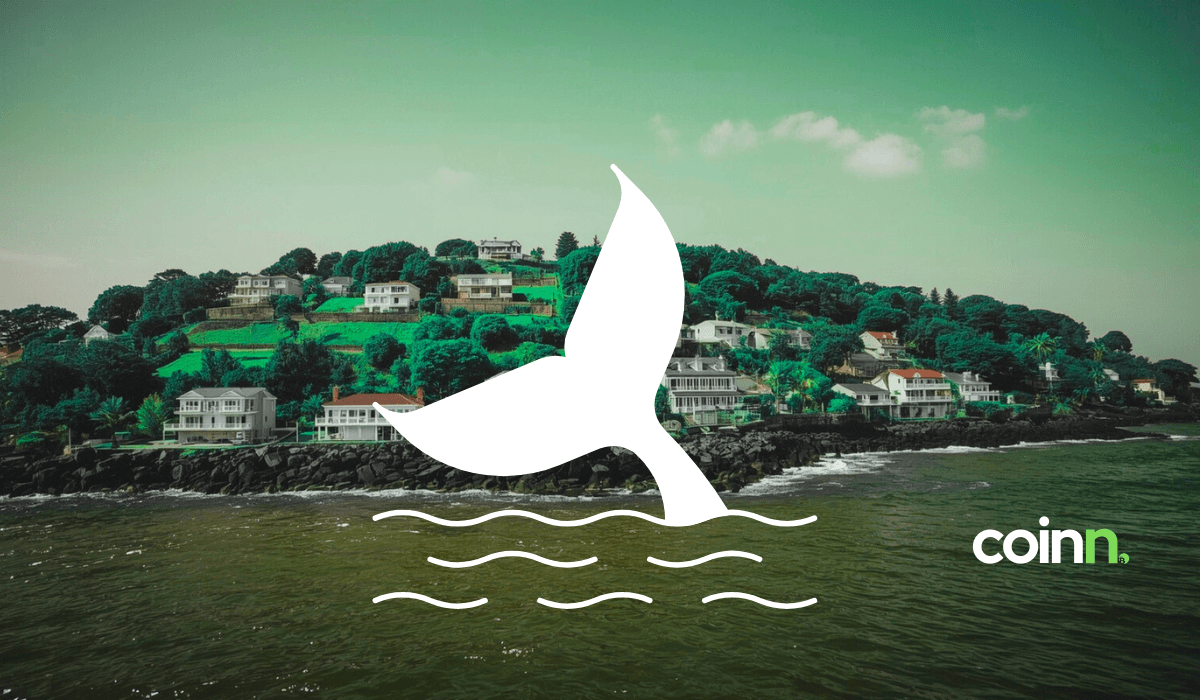 Deep Ocean House, RWA inwestycje nieruchomości na blockchainie