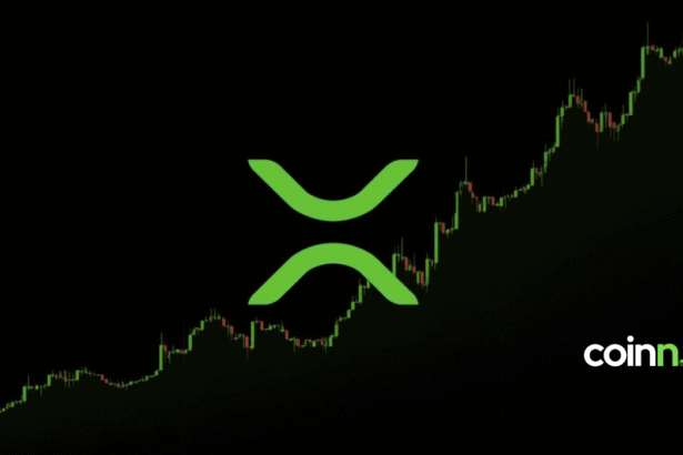 Wykres XRP z zaznaczonym byczym wybiciem sugerującym możliwy rajd do 20 USD w 2025 roku Ripple